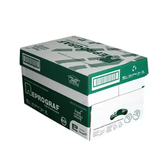 SAJ-PAP-REPROG.webp