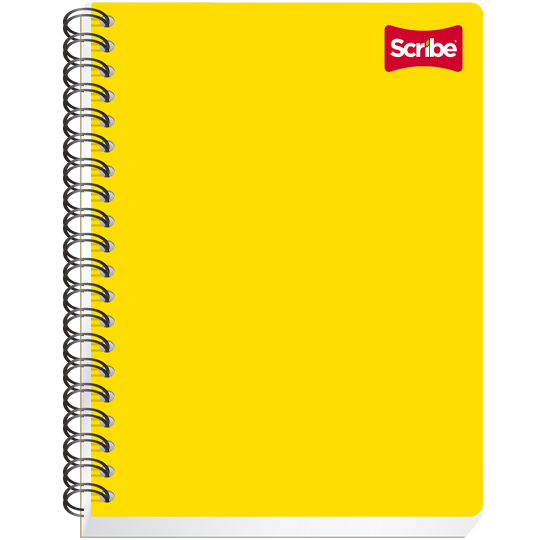 CUADERNO PROFESIONAL DE CUADRO CHICO 100 HOJAS / SCRIBE